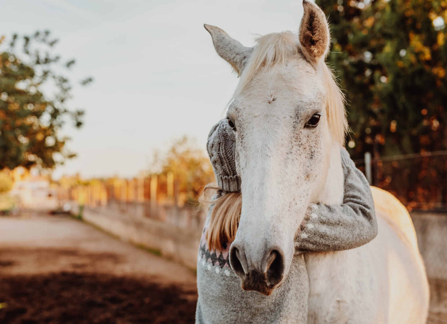 equine-thumbnail